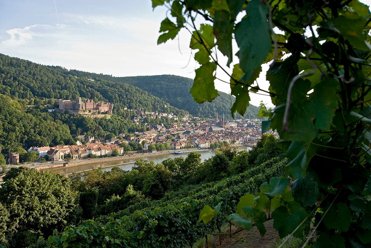 Aerial view of Germany's Wine Growing Region Baden