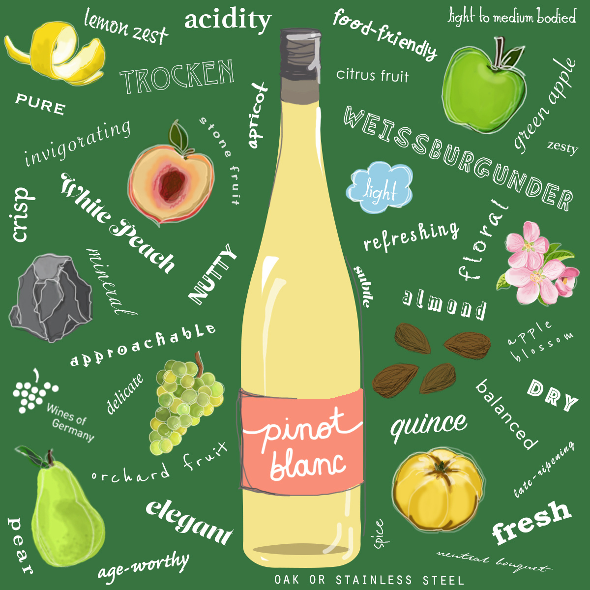 Pinot Blanc Varietal Guide Graphic