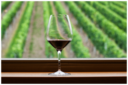 A Glass of Pinot Noir in the window of an vinyard