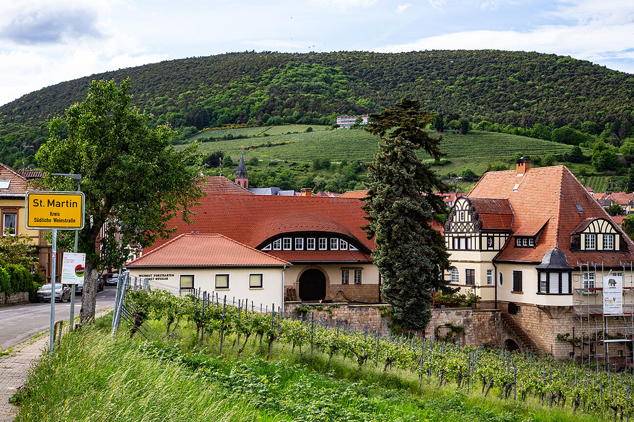 Village St. Martin in Pfalz, Germany