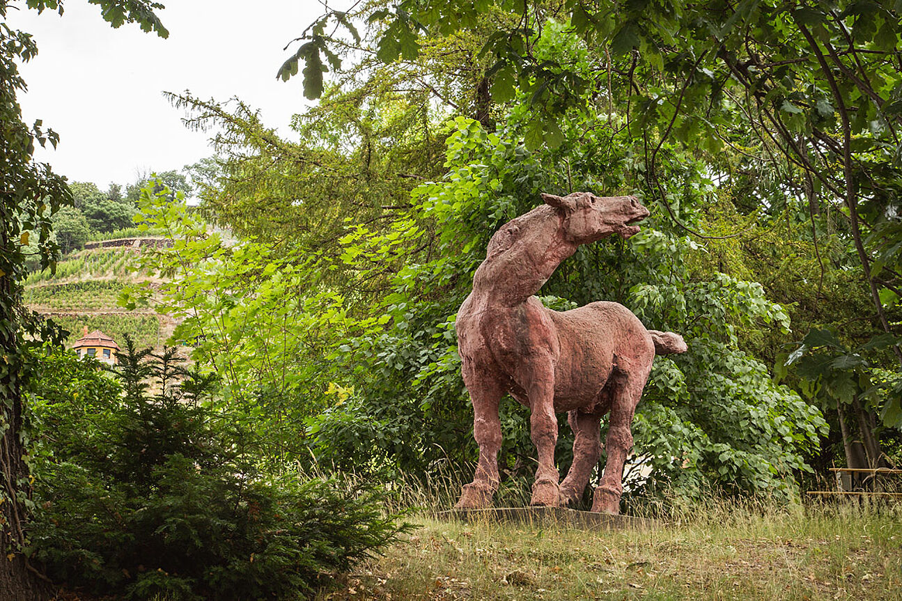 Horse sculpture on the grounds of Drei Herren winery in Freistaat, Sachsen, Germany